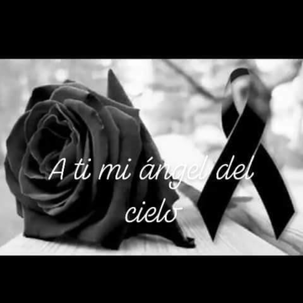 Meet your Posher, Eliva